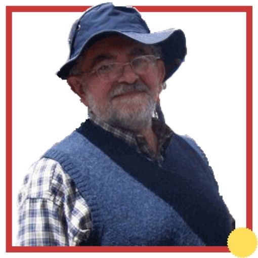 Docente Andres Gaitán